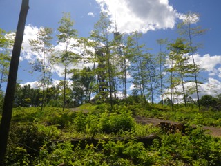 Timm's Hill Tower